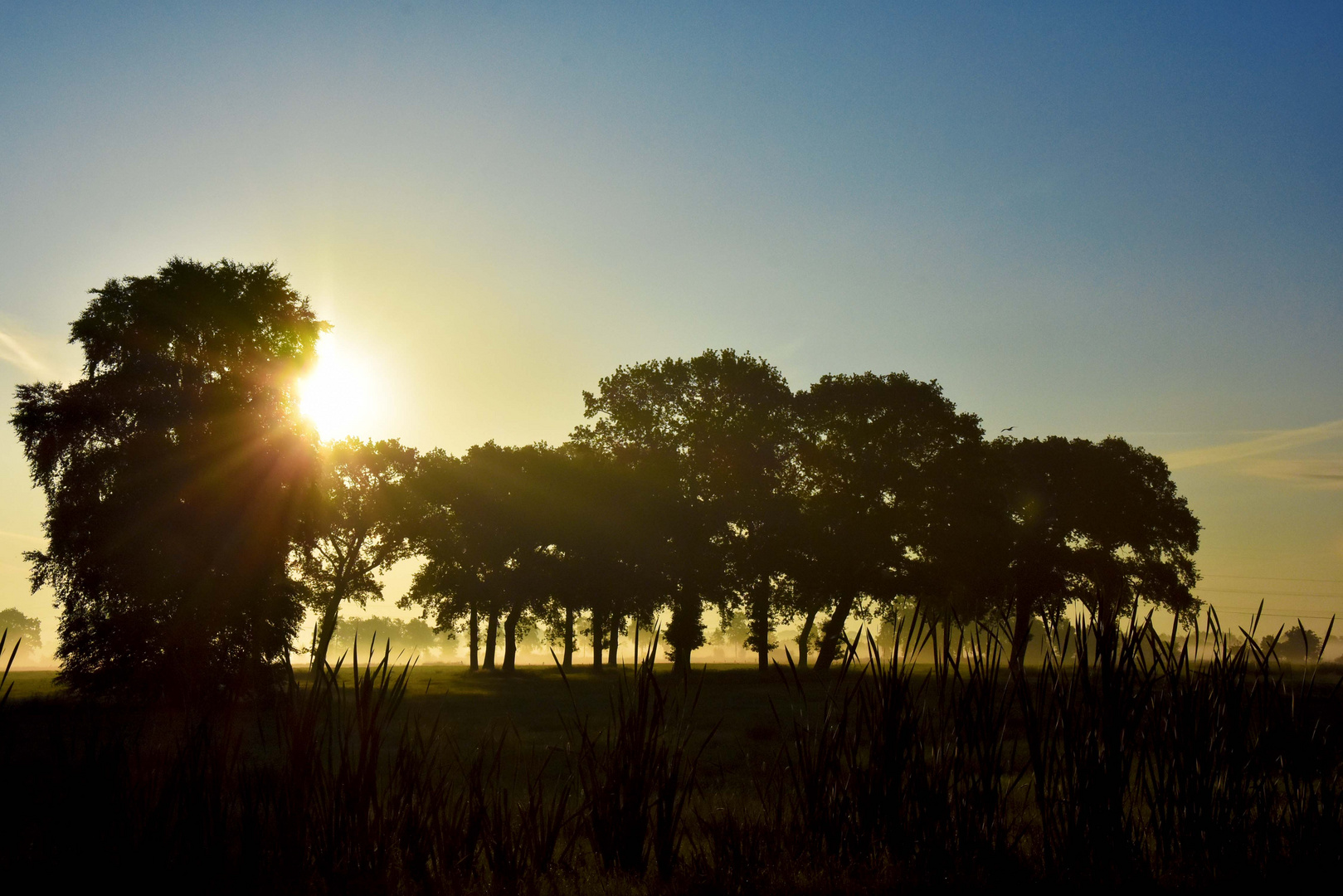 herbstmorgen