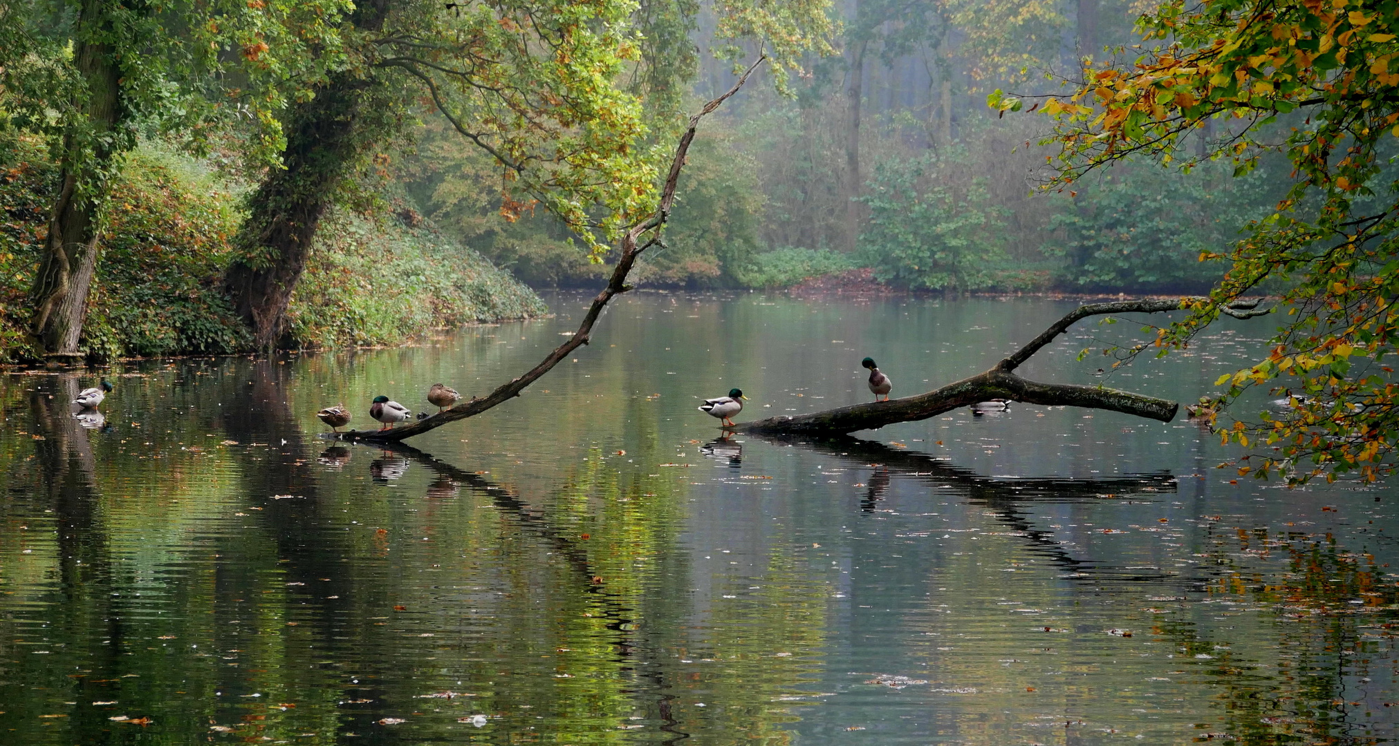 Herbstmorgen