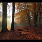 Herbstmorgen - 1