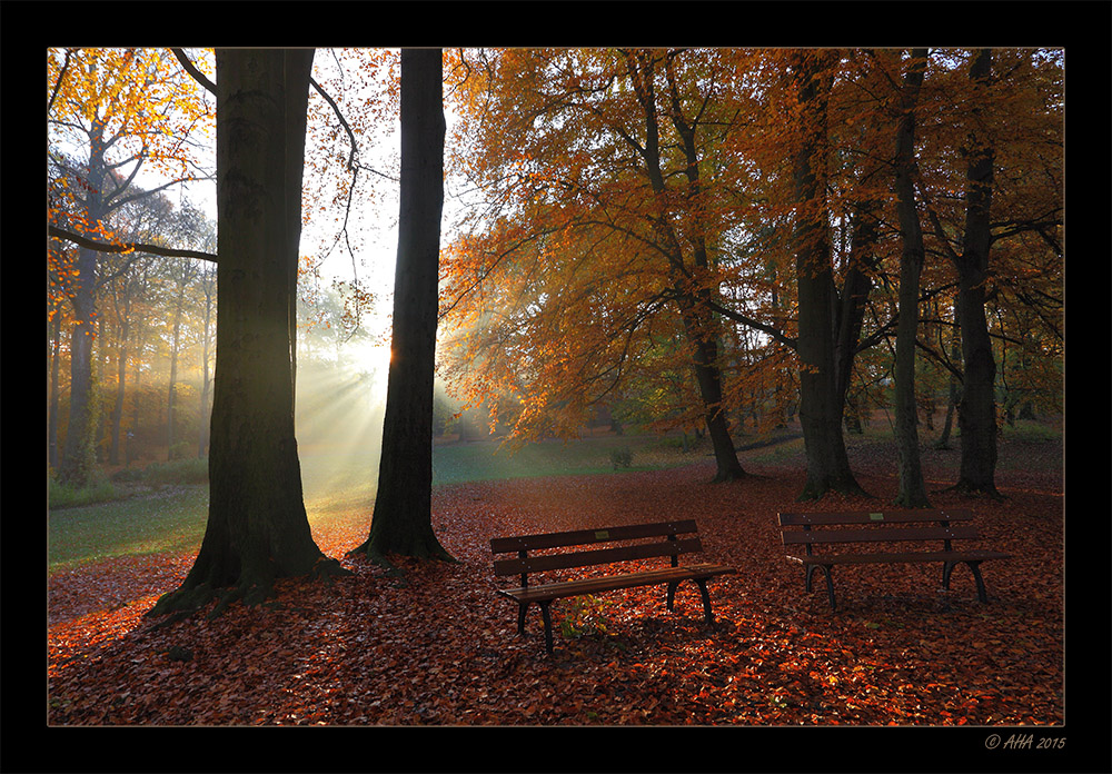 Herbstmorgen - 1