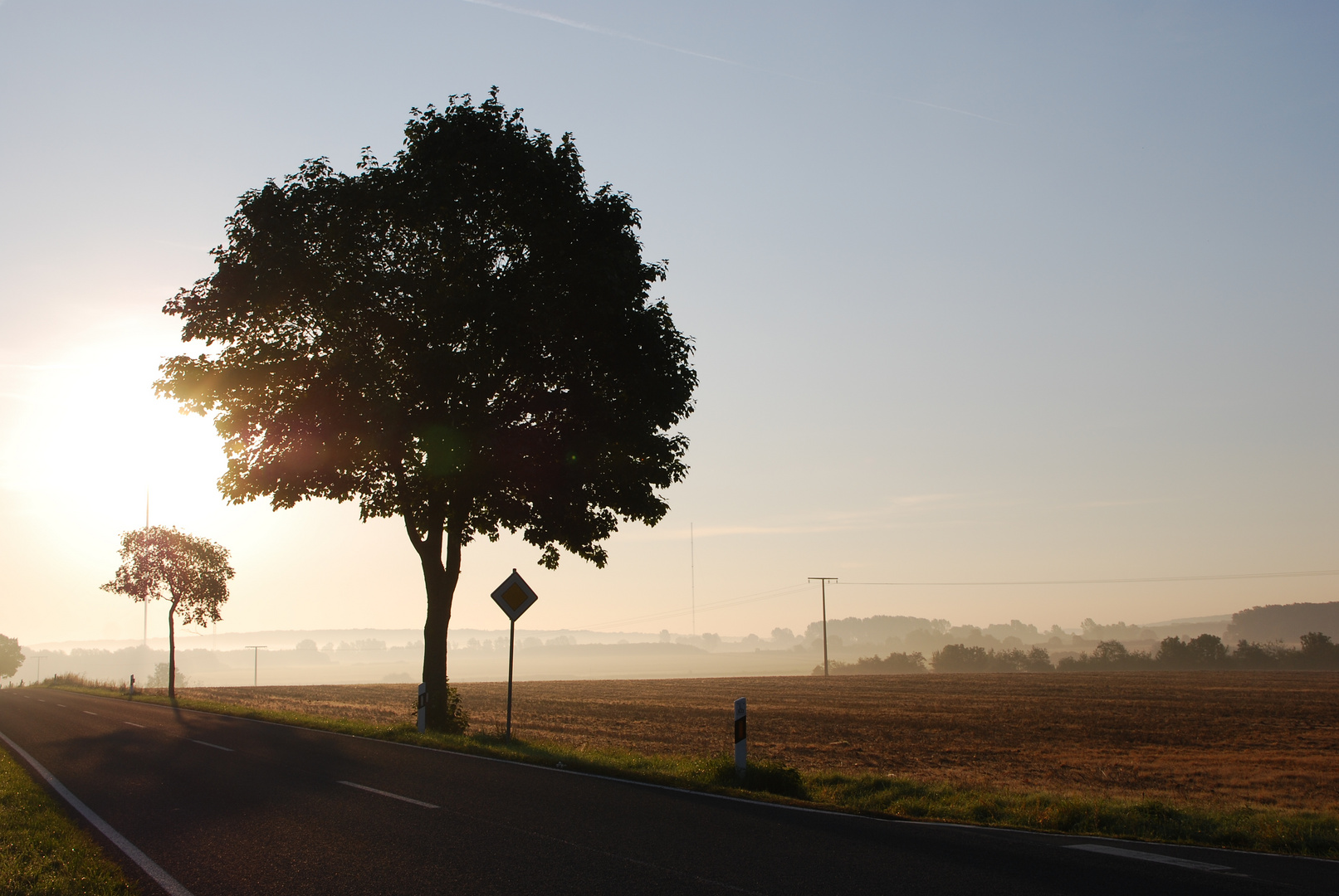 Herbstmorgen (1)