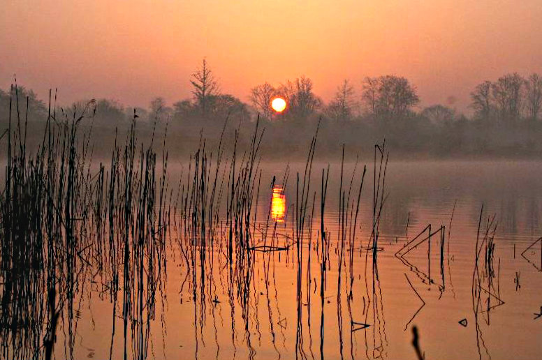 Herbstmorgen (1)