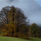 Herbstmorgen (1)