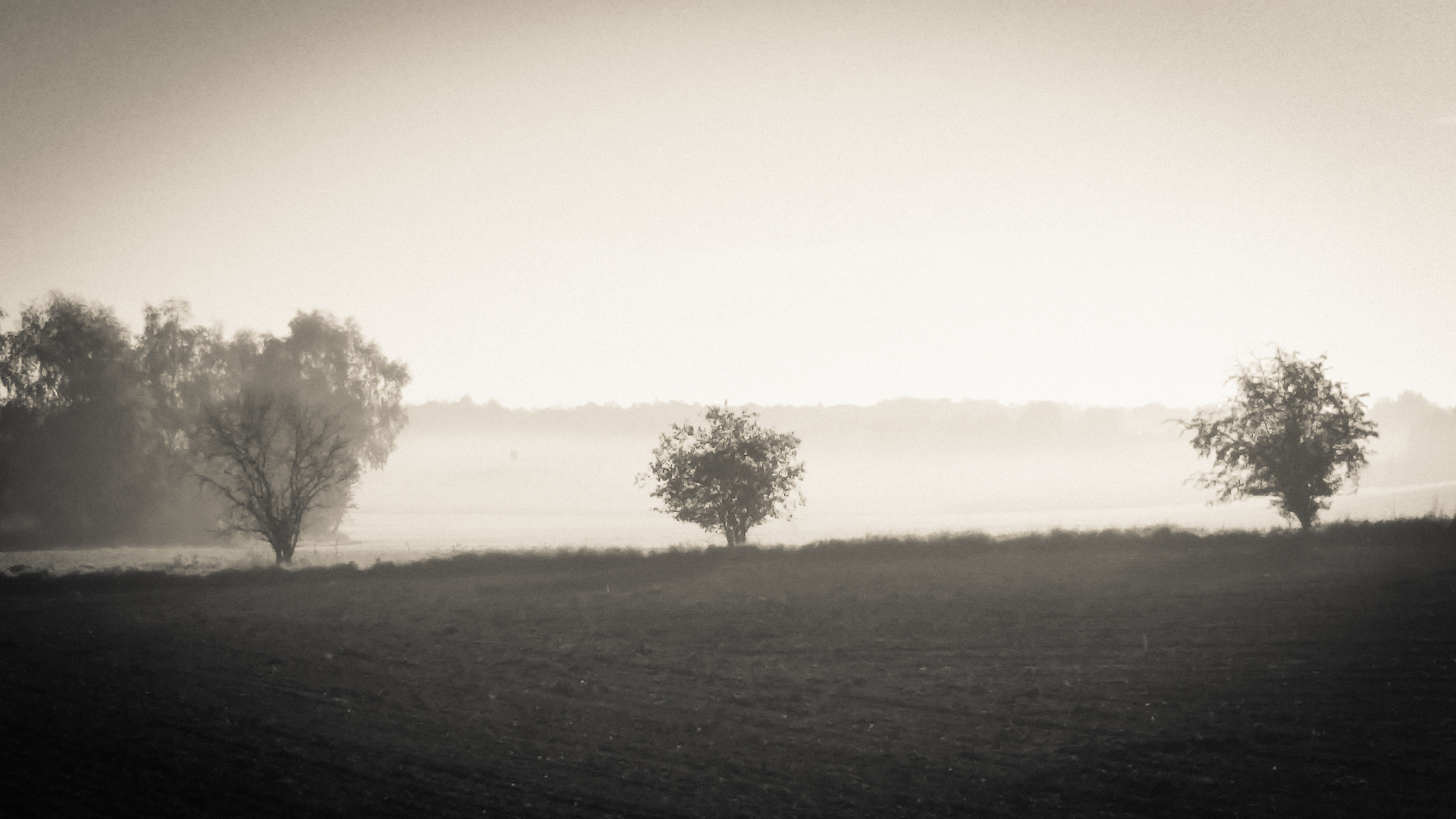 Herbstmorgen #1