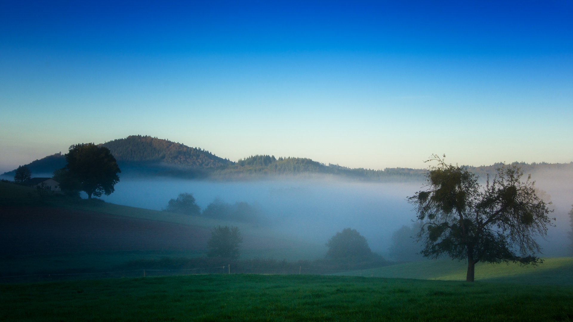 Herbstmorgen