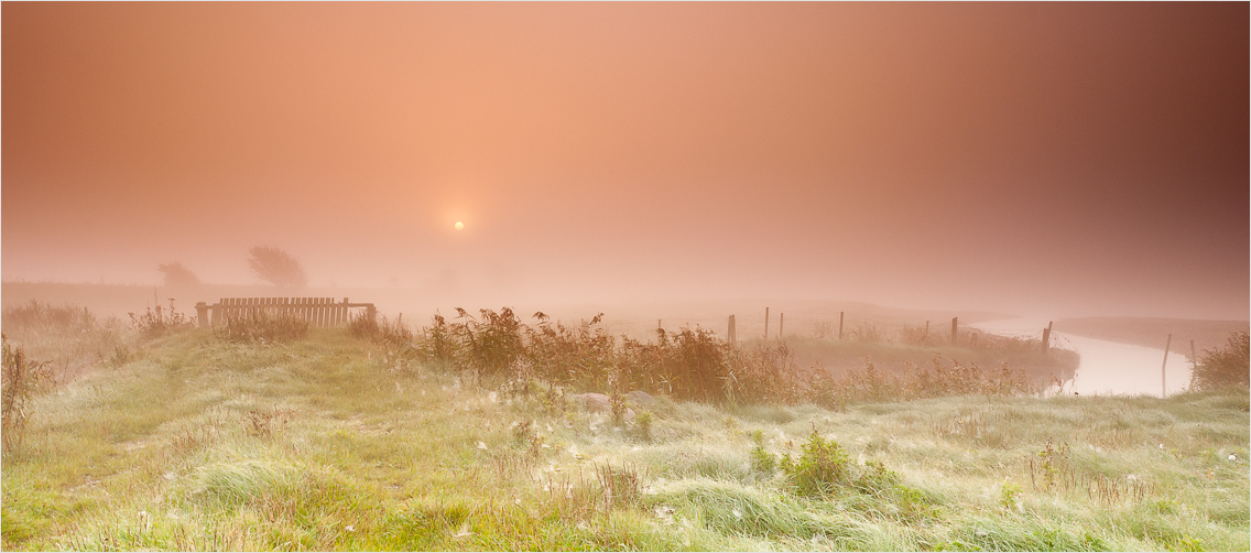 Herbstmorgen