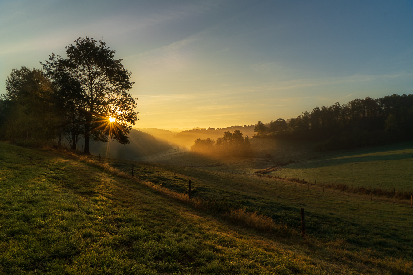 Herbstmorgen