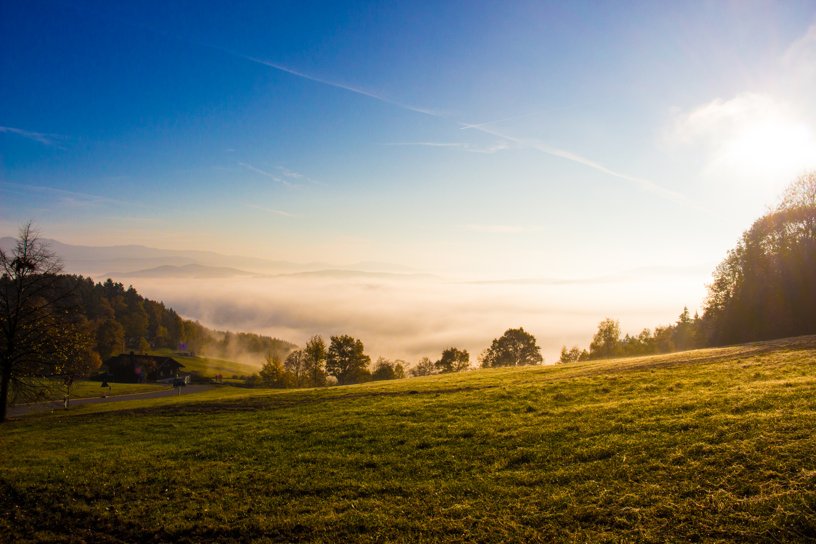 Herbstmorgen