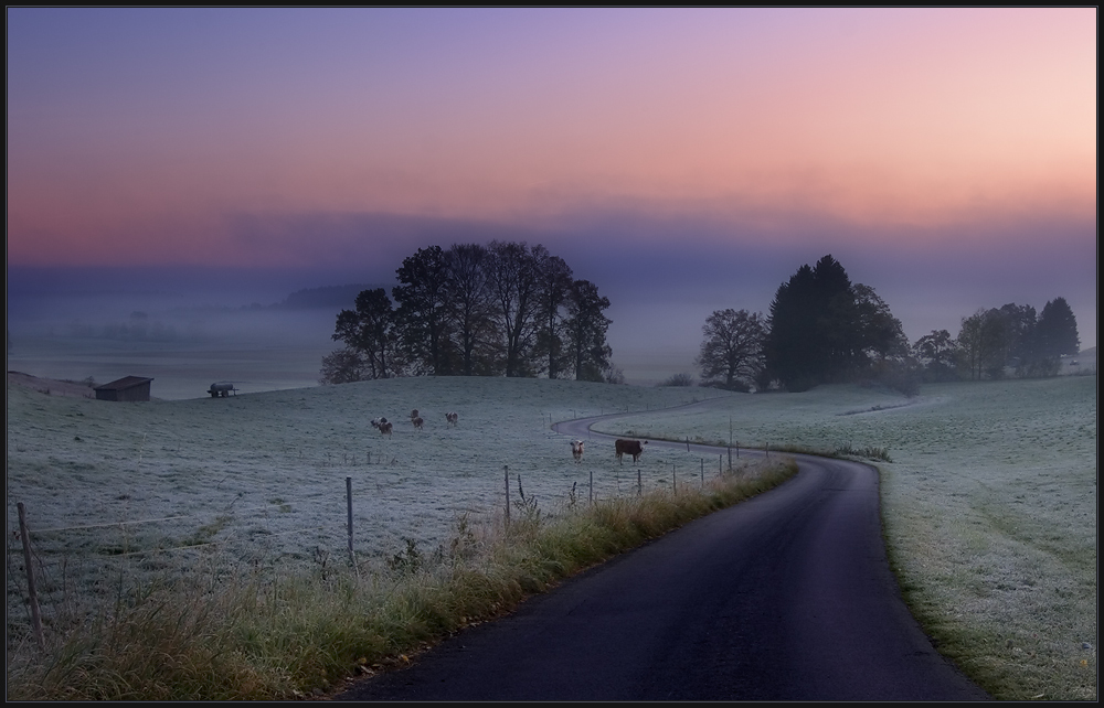 Herbstmorgen