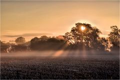 Herbstmorgen