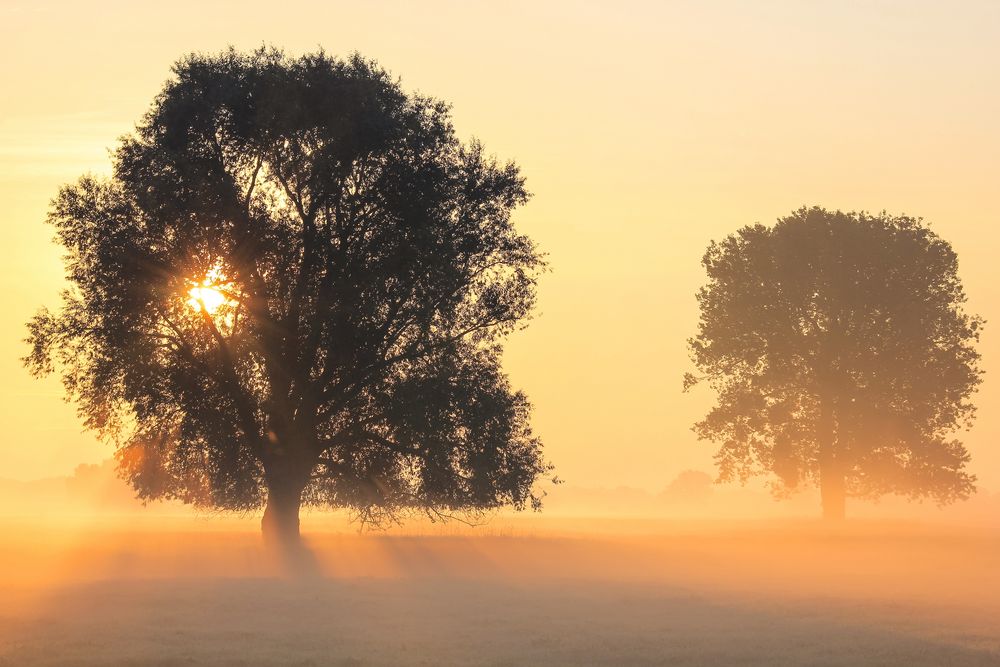 Herbstmorgen