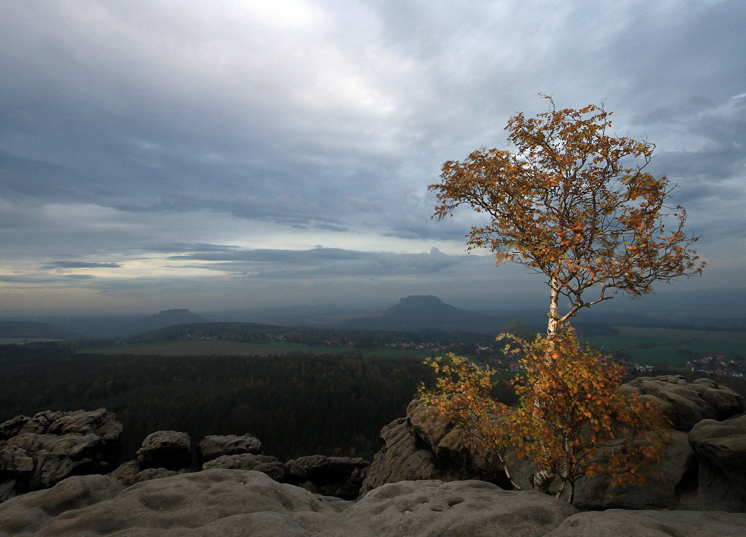 Herbstmorgen