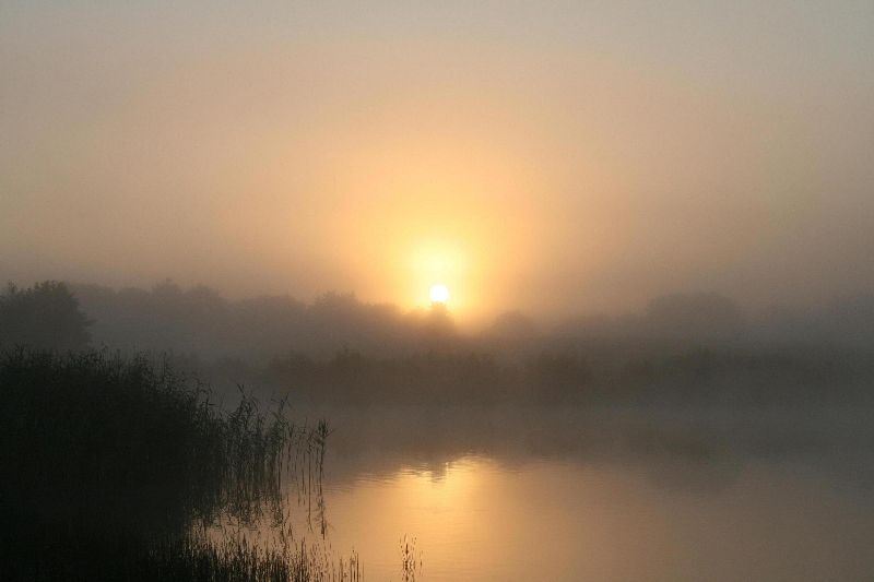 Herbstmorgen (2)