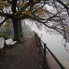 Herbstmorgen - 2