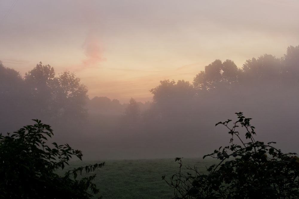 Herbstmorgen (2)