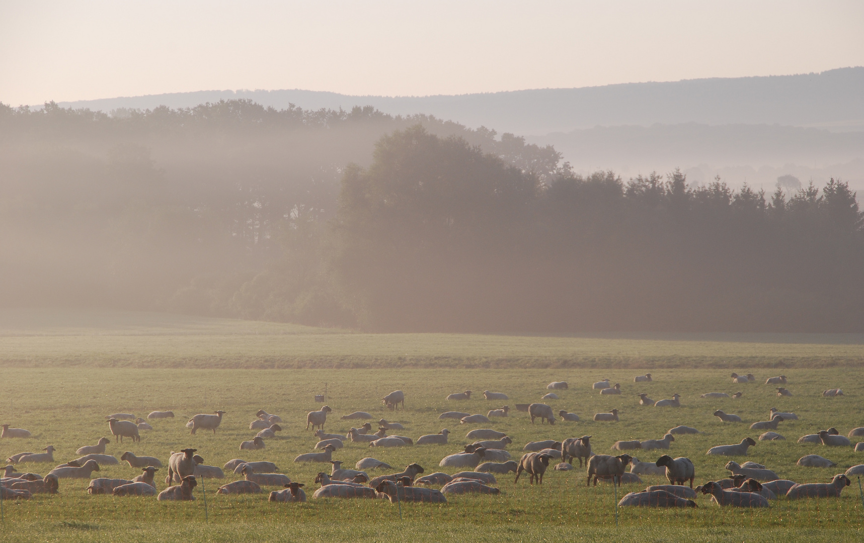 Herbstmorgen (2)