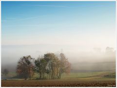 Herbstmorgen (2)