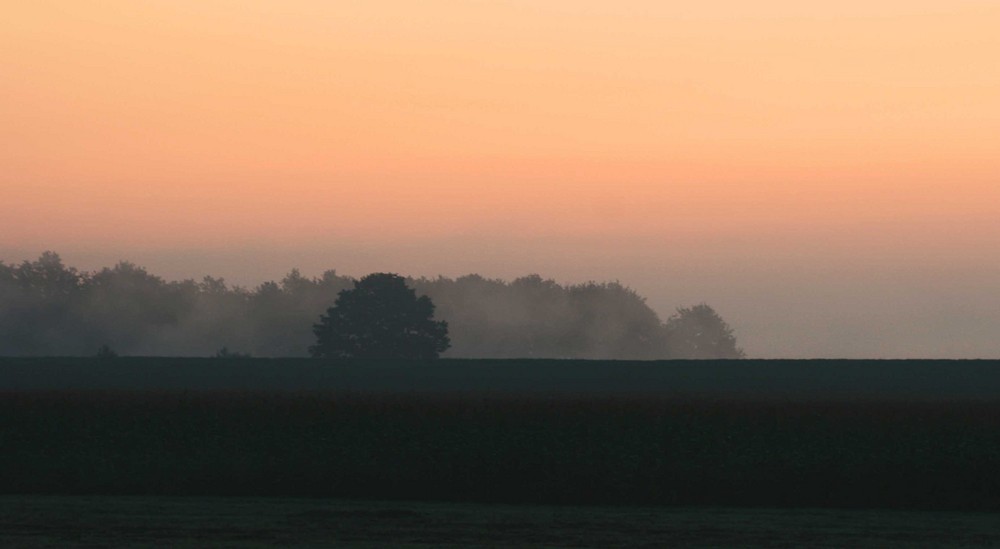 Herbstmorgen 2008