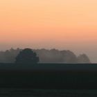 Herbstmorgen 2008