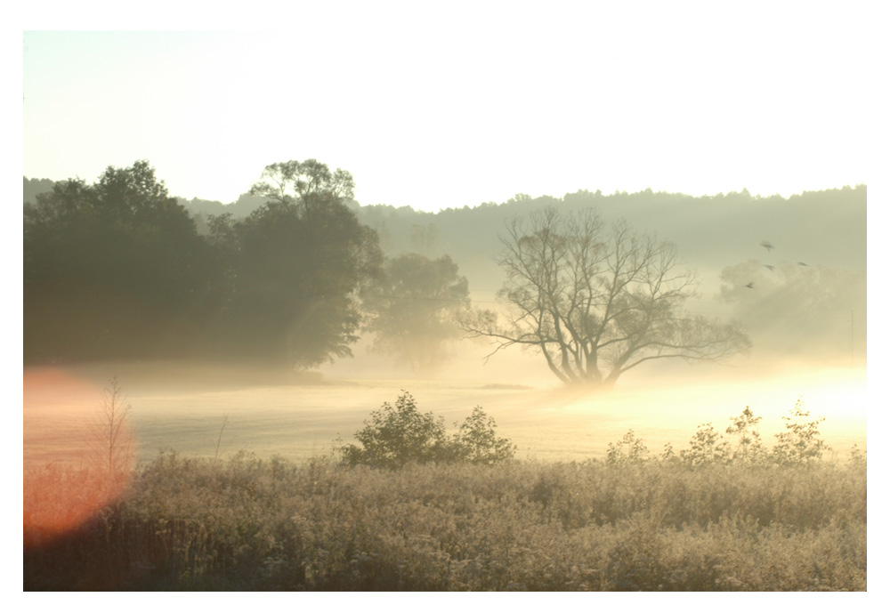 Herbstmorgen