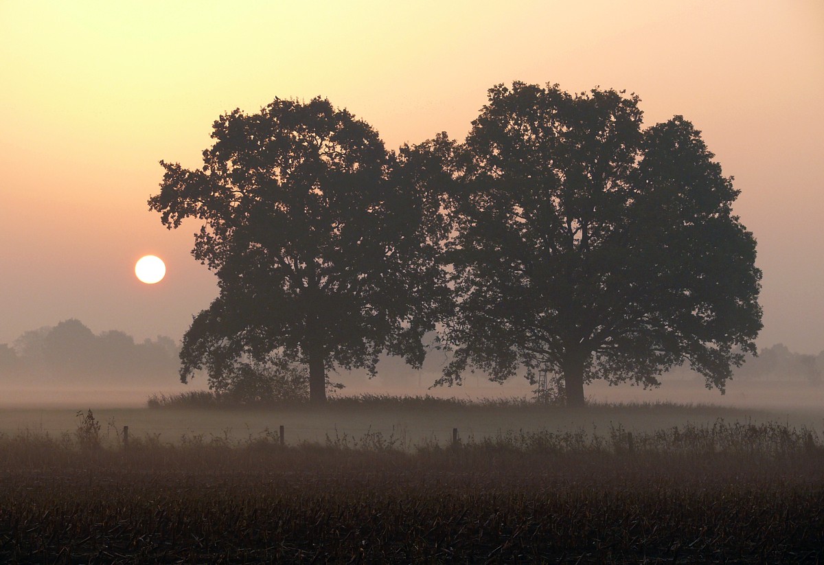 Herbstmorgen