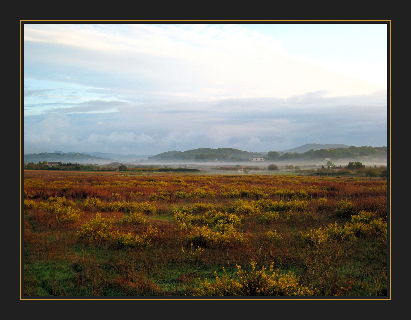 Herbstmorgen