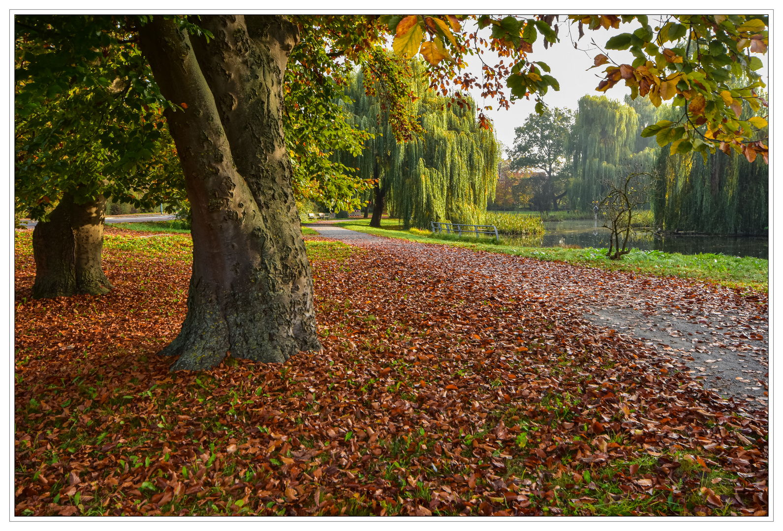 Herbstmorgen