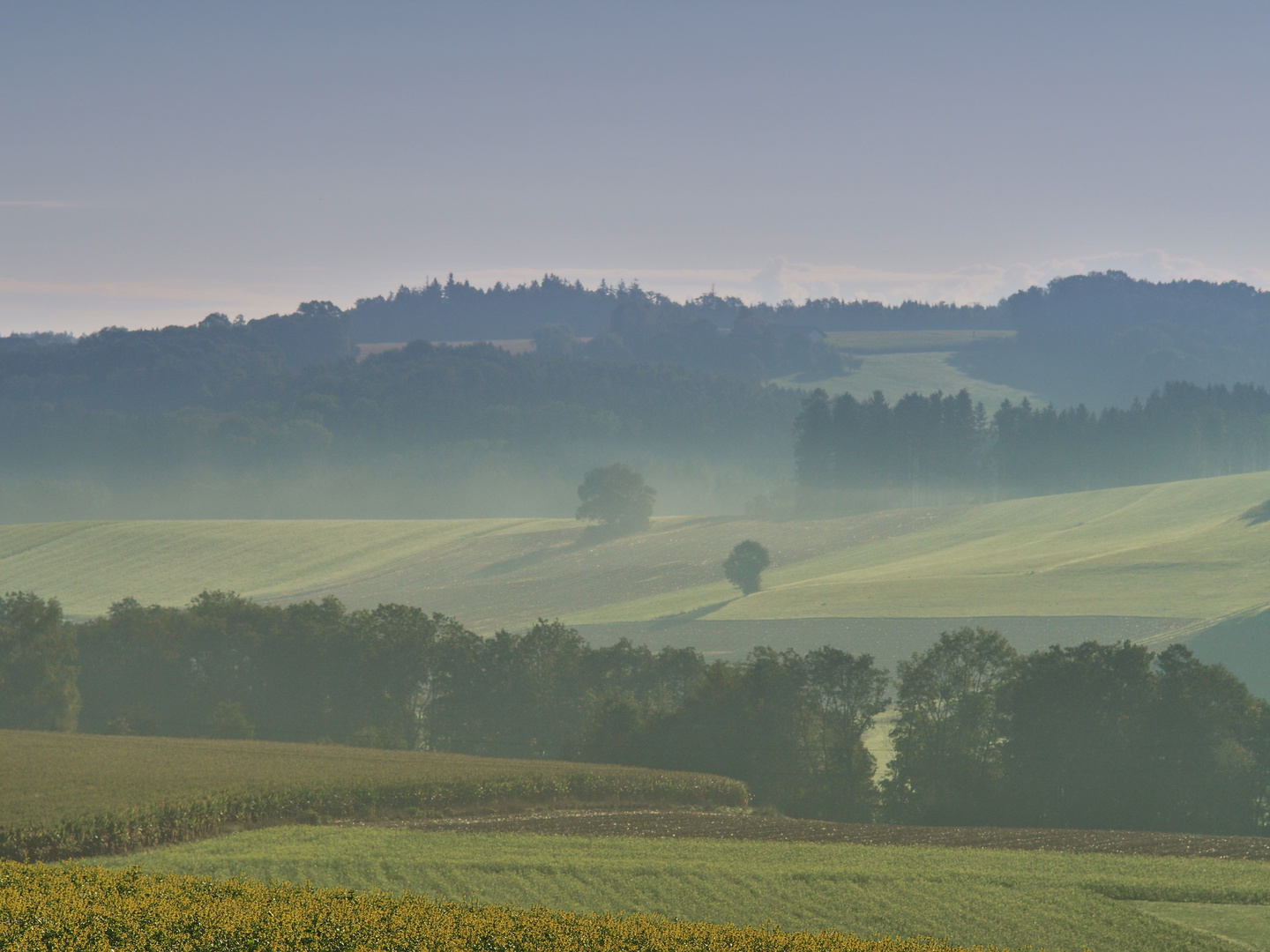 Herbstmorgen