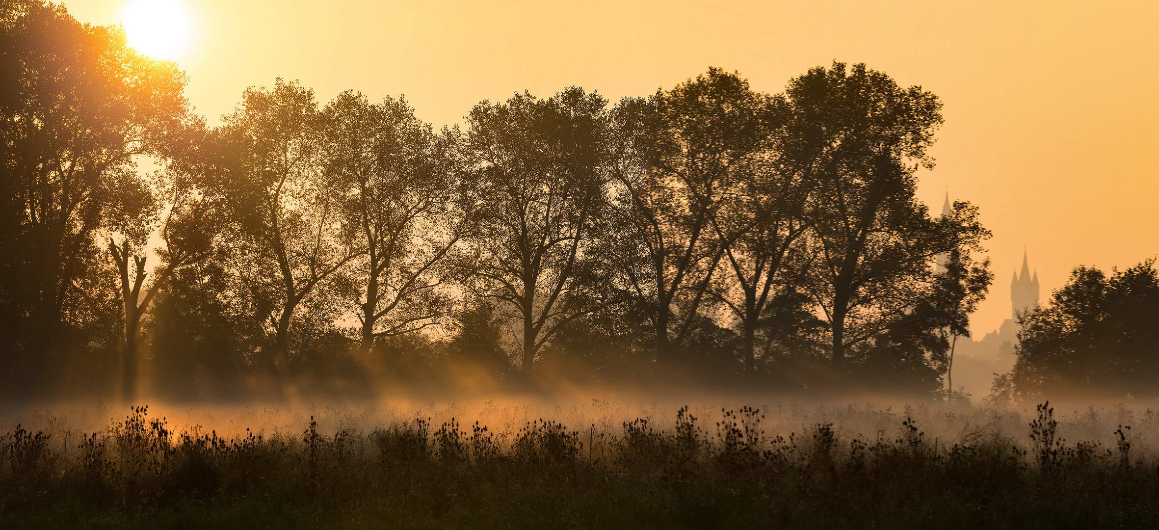 Herbstmorgen