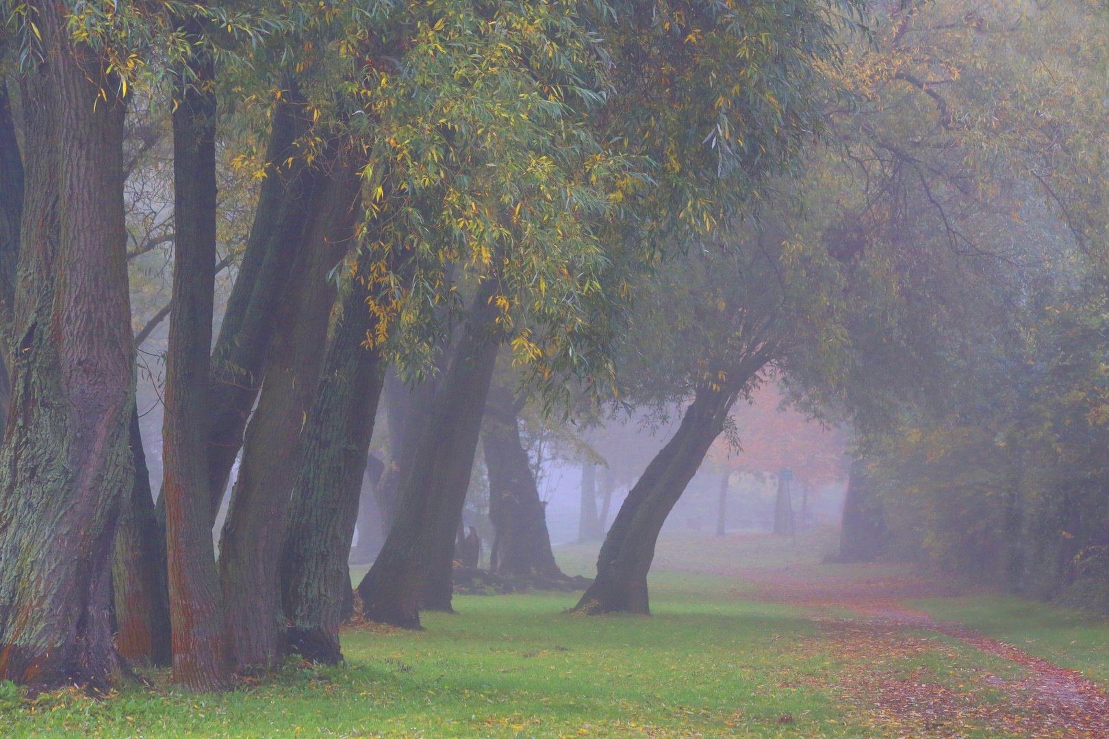 Herbstmorgen