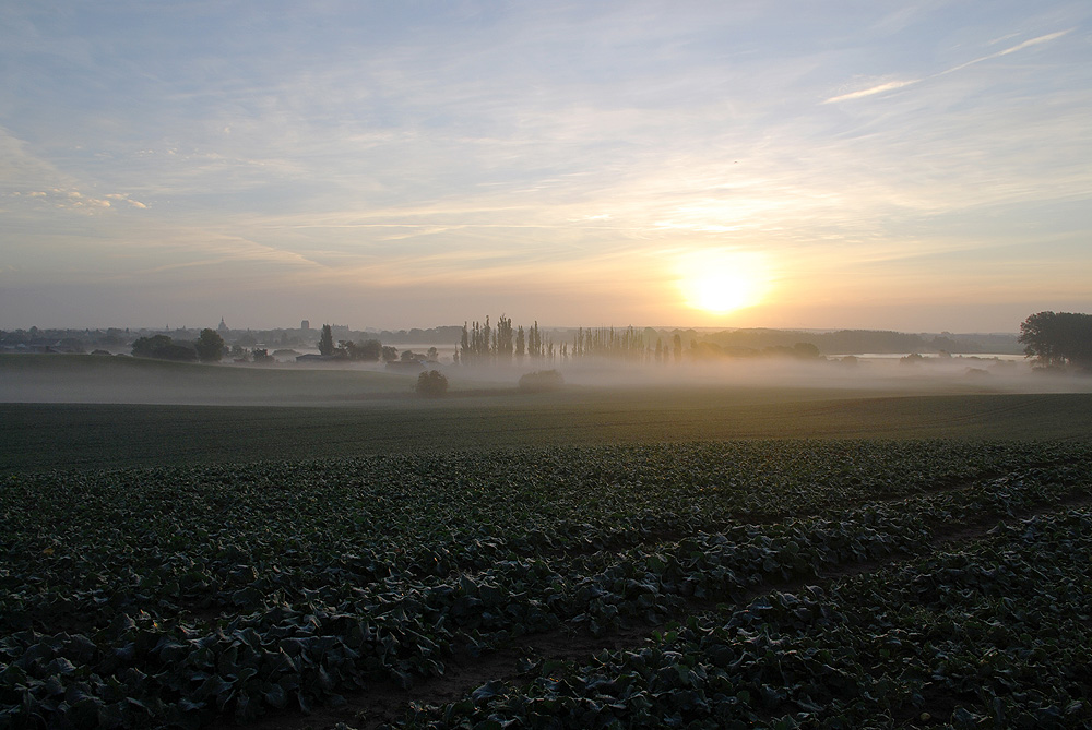 Herbstmorgen