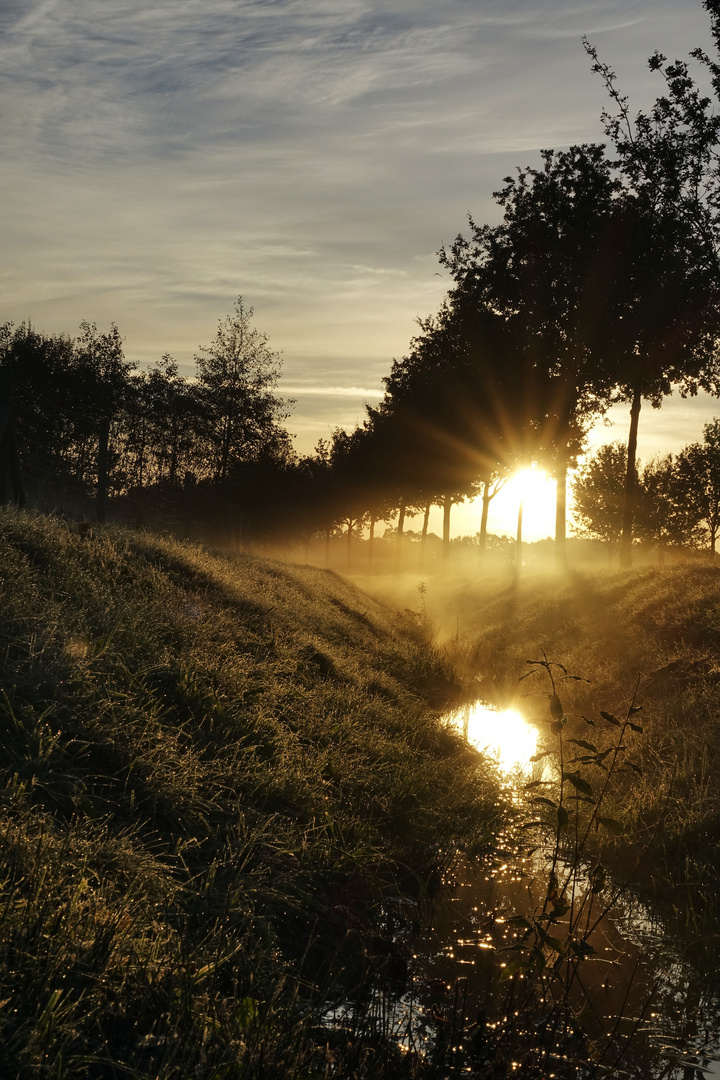 Herbstmorgen