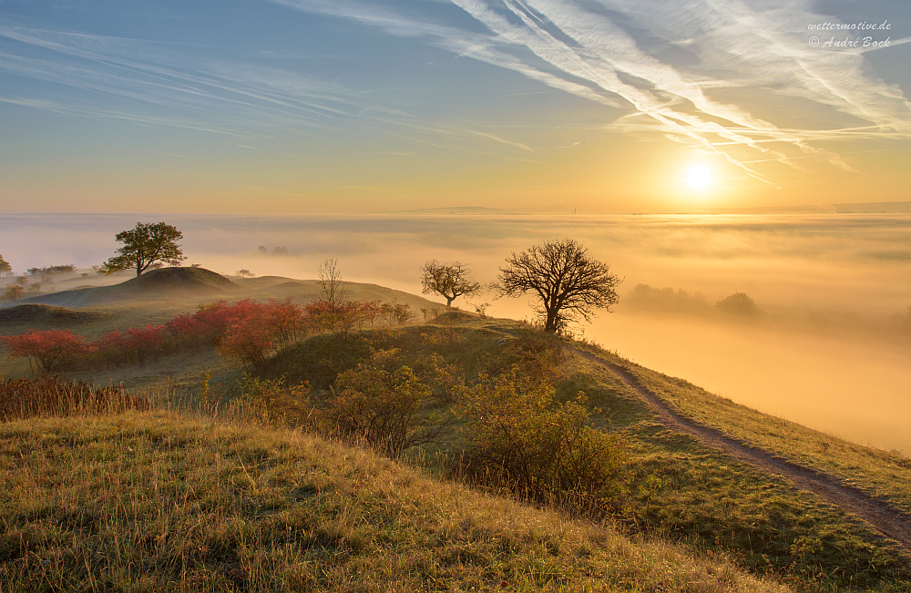 Herbstmorgen