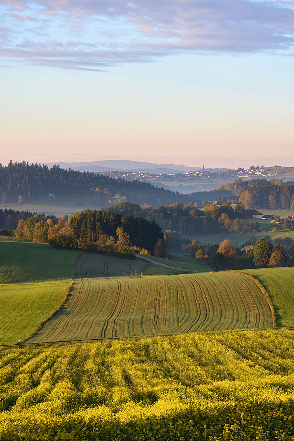 Herbstmorgen....