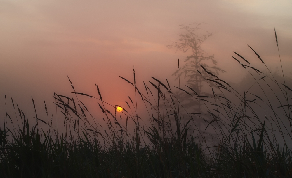 Herbstmorgen