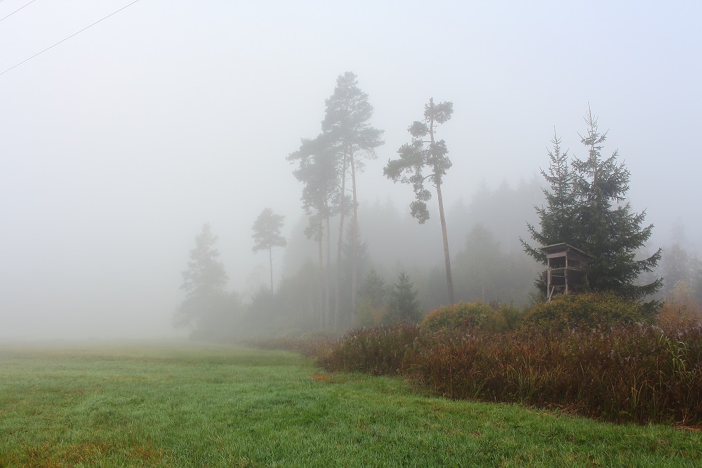 Herbstmorgen