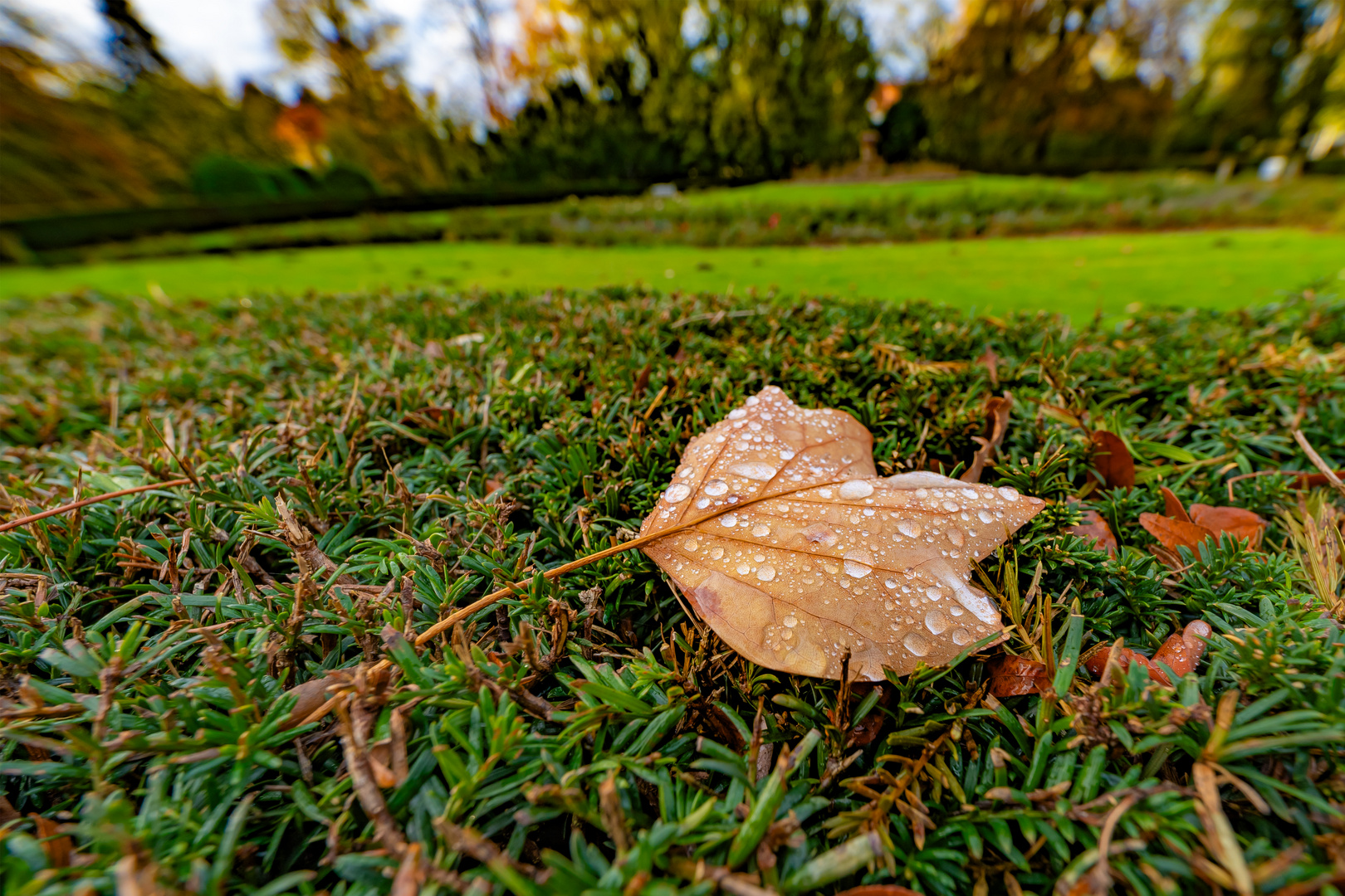 Herbstmorgen ........