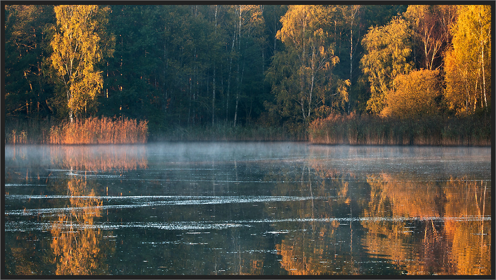 Herbstmorgen