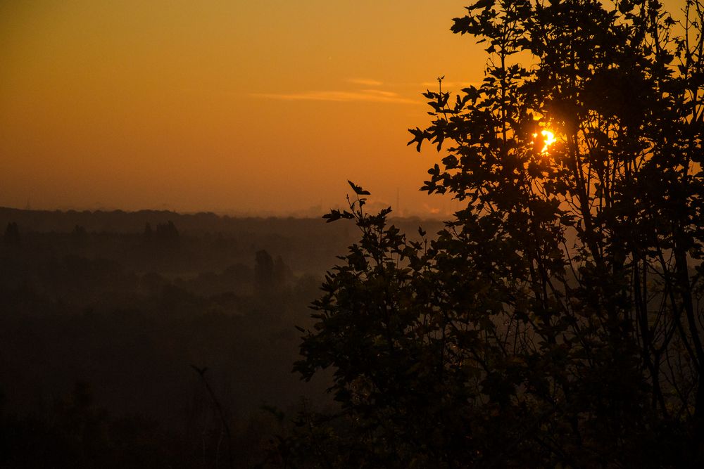 Herbstmorgen