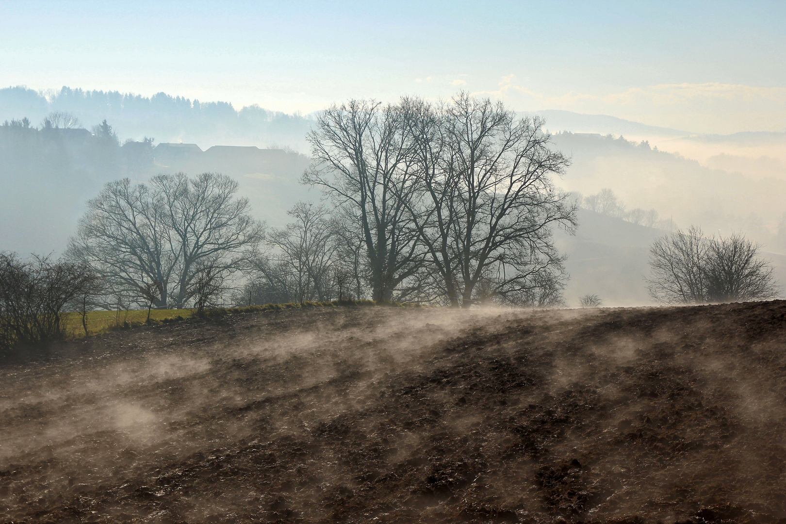 Herbstmorgen