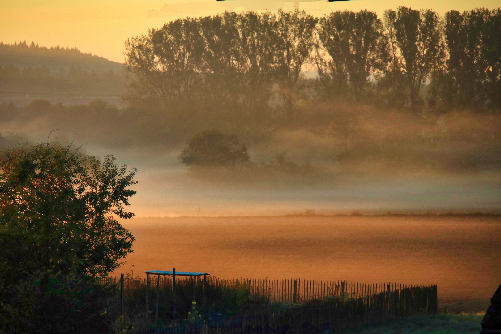 Herbstmorgen