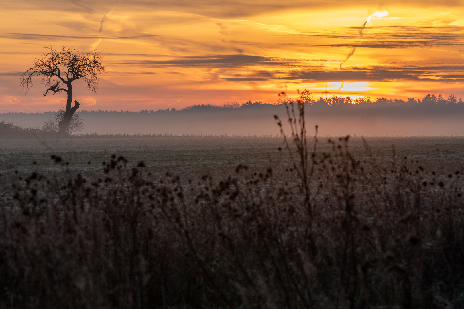 Herbstmorgen