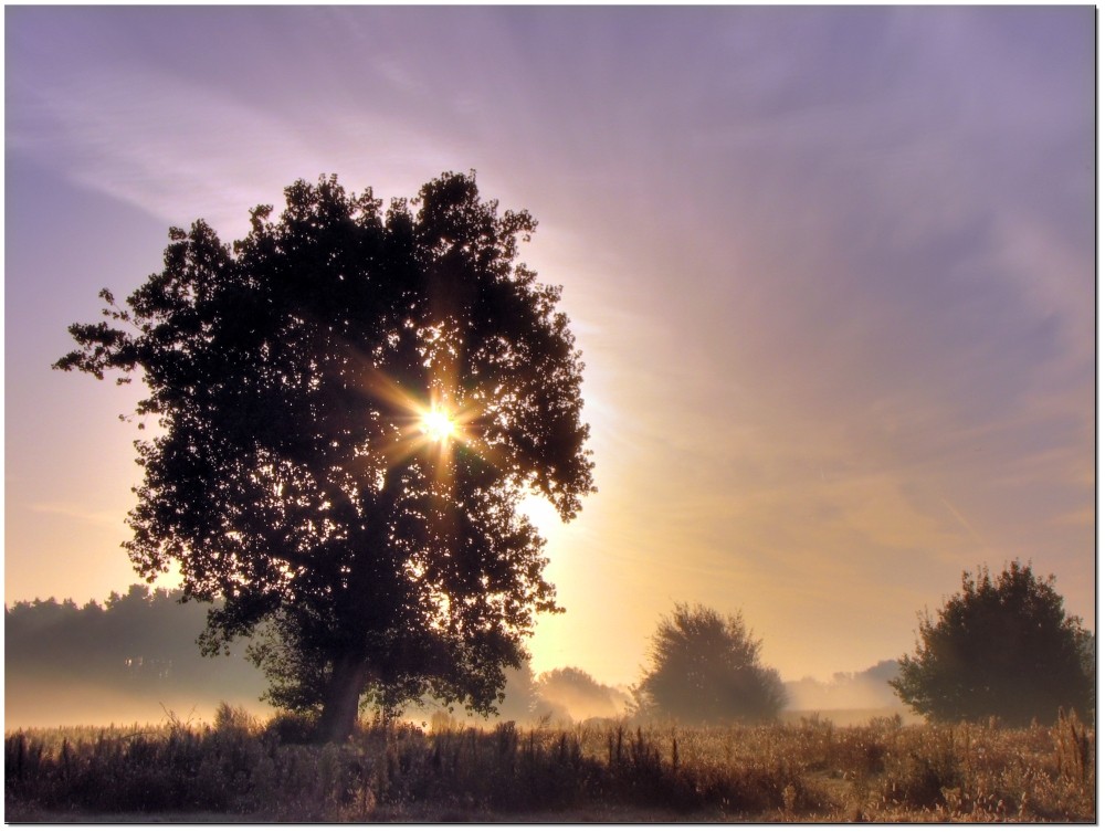 HerbstMorgen