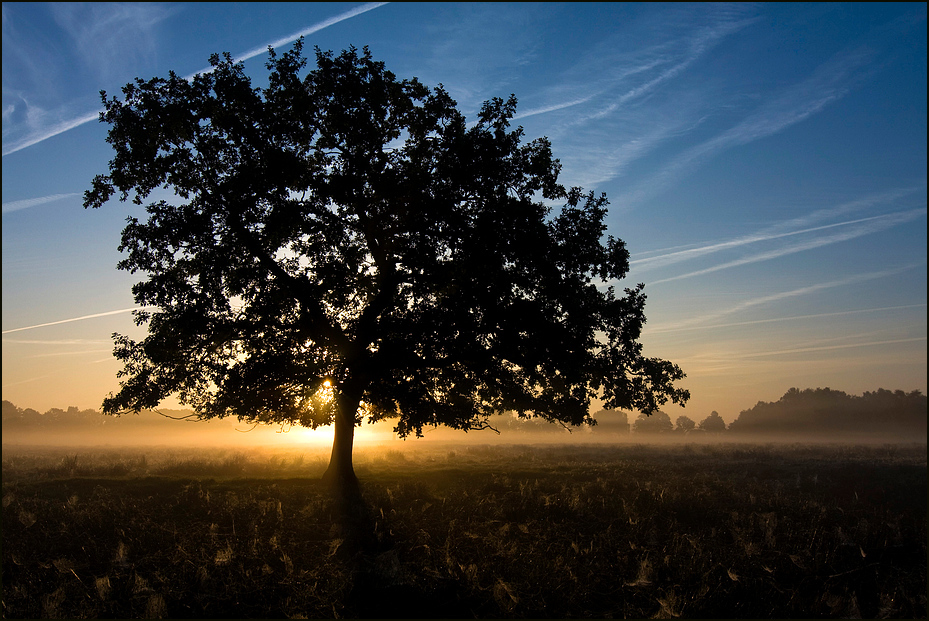 Herbstmorgen