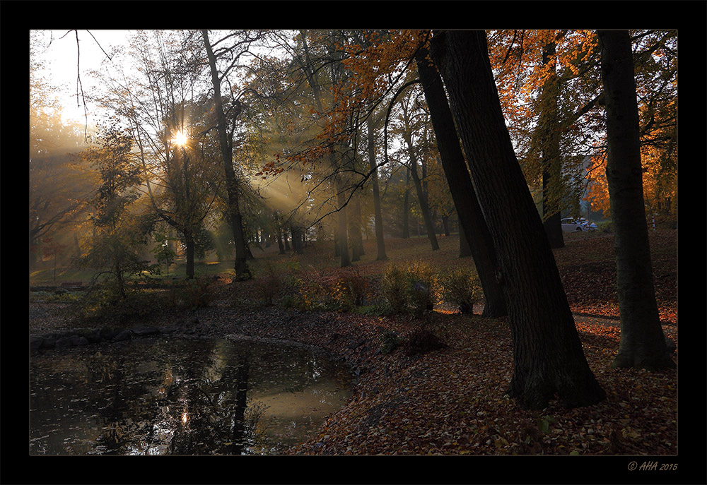 Herbstmorgen - 5