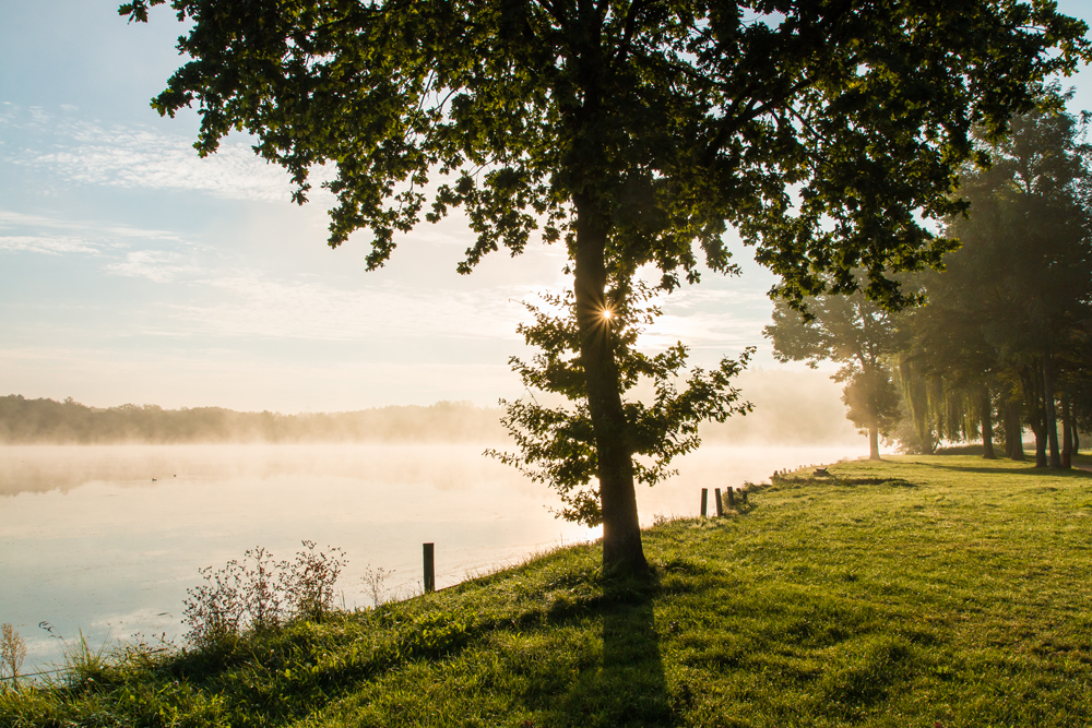 Herbstmorgen