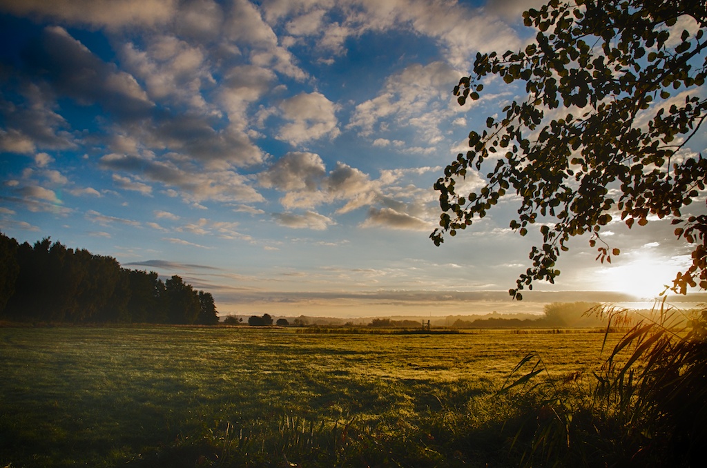 Herbstmorgen