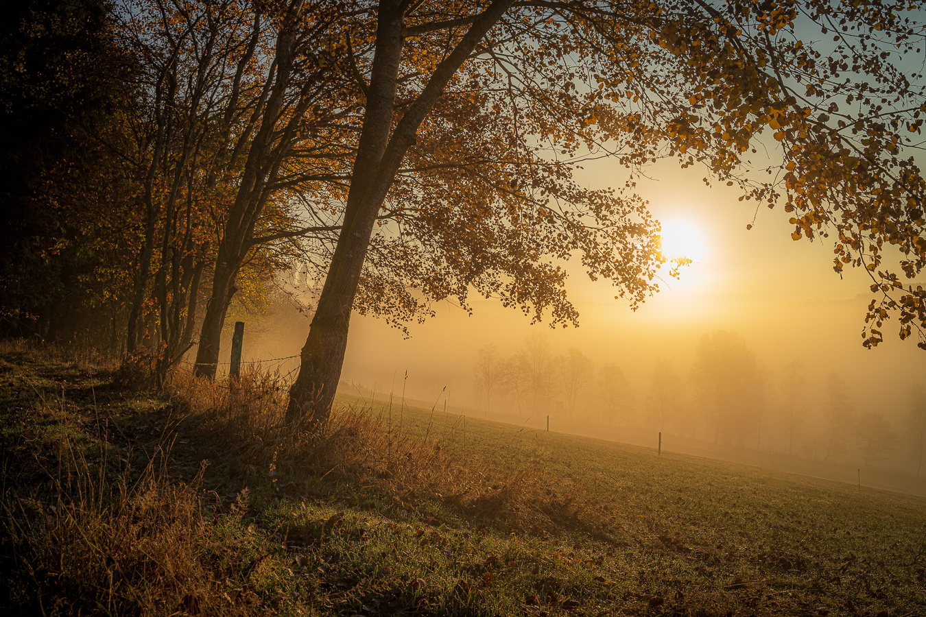 Herbstmorgen