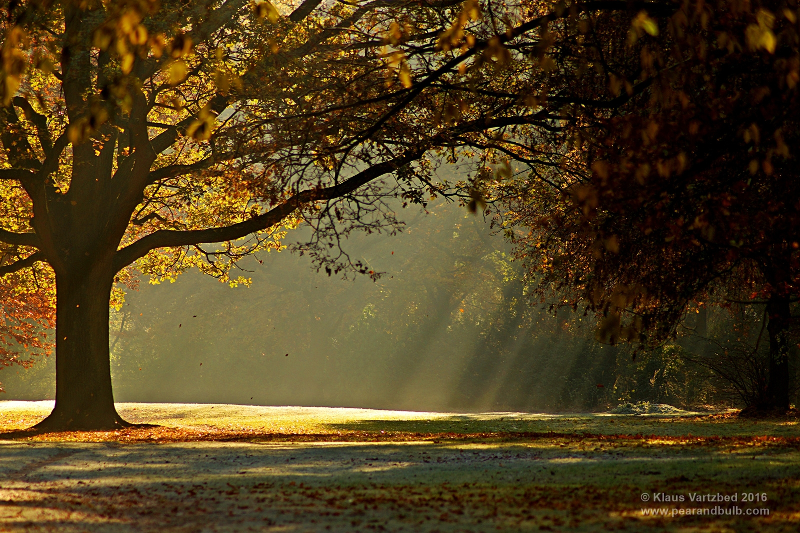 Herbstmorgen