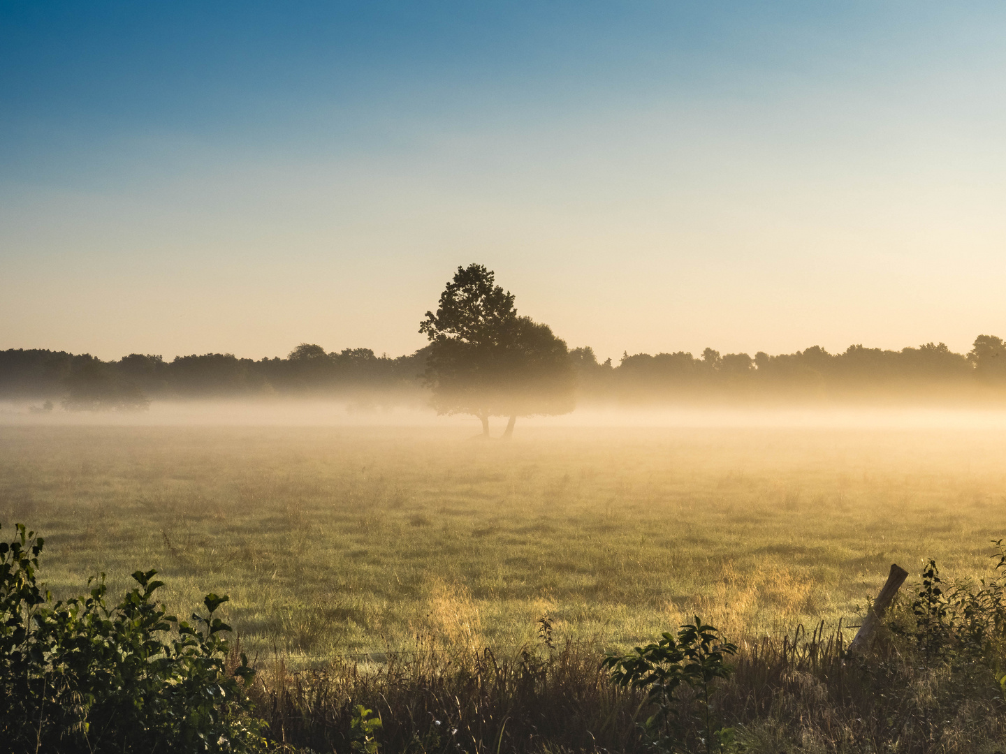 Herbstmorgen